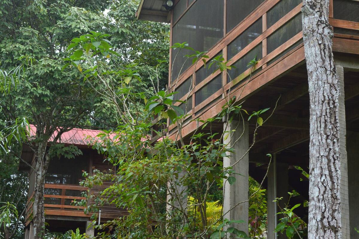 A building with a wooden exterior and large windows, surrounded by lush greenery and a stone wall.