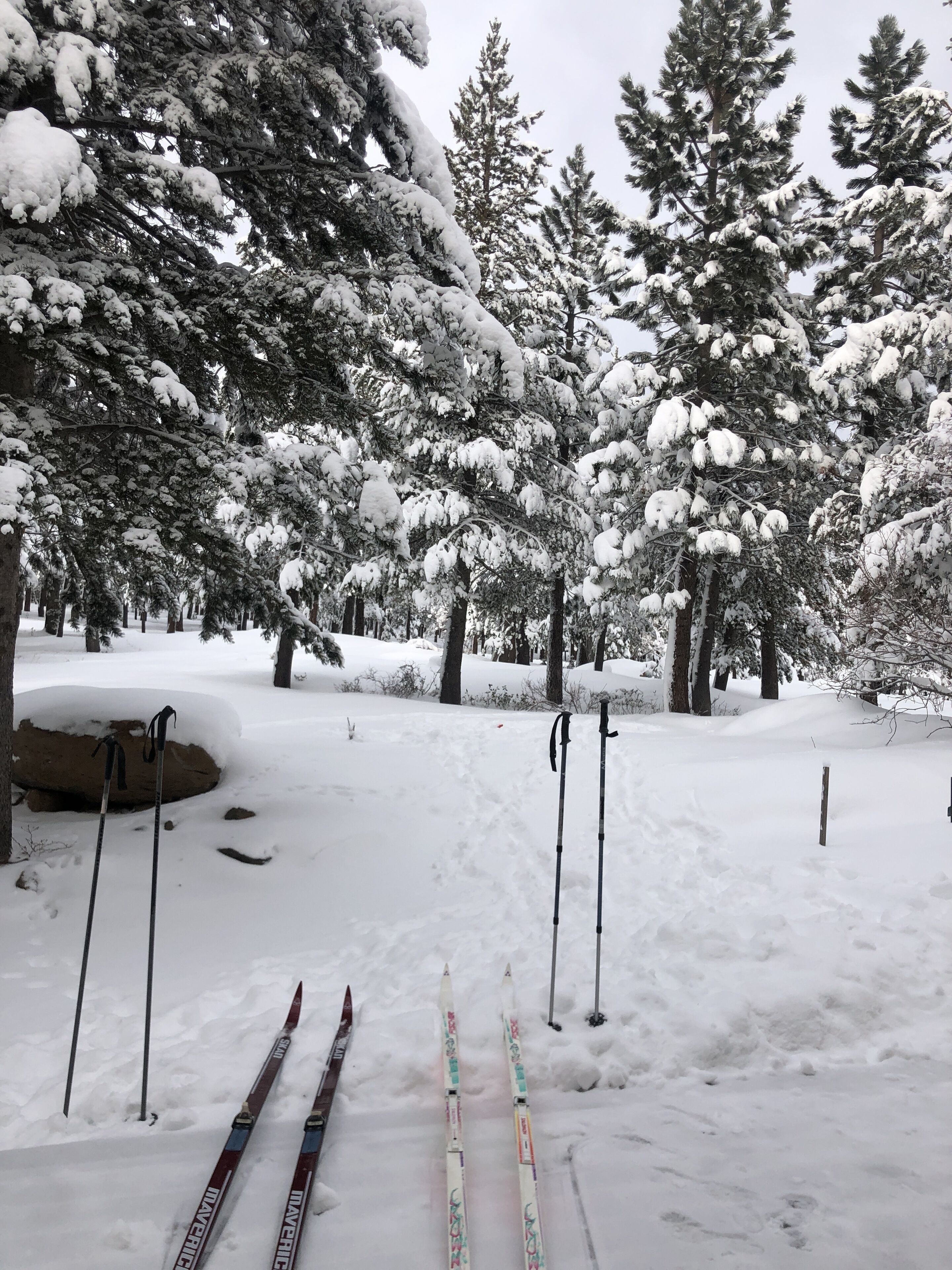 Forest Views, XCountry Ski In/Out, High Speed WiFi