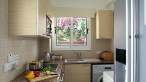 A compact kitchen with a sink, stove, and dishwasher. There is a window with a view of flowers outside. - Nissi Villa Loreana (Ammochostos Ayia Napa)
