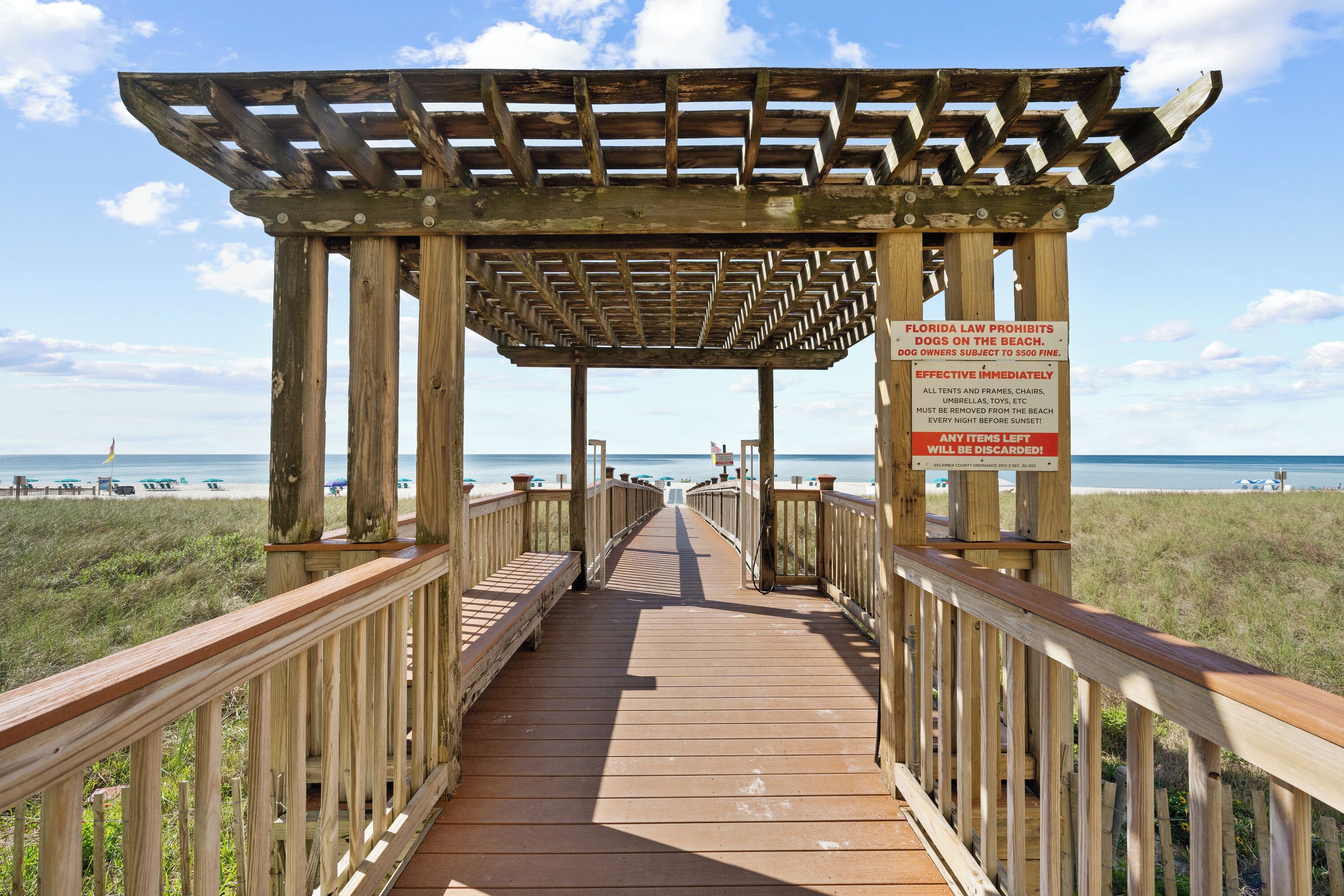 A wooden boardwalk leading to a beach with a sign prohibiting dogs on the beach.