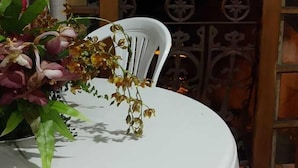 A white table with a floral arrangement, a white chair, and a wooden door with glass panels. - POUSADA PONTA DO ARPAO (Mangaratiba)