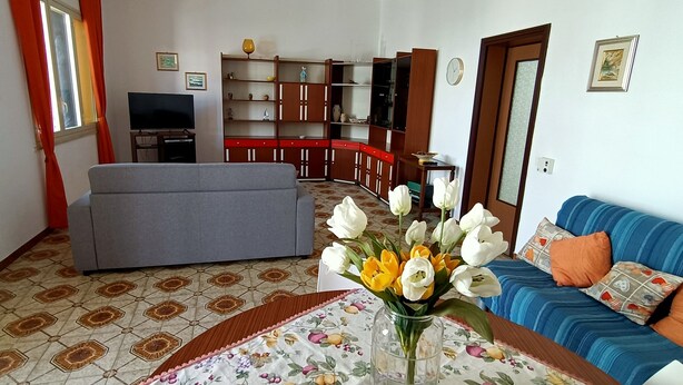 A living room with a grey sofa, a blue sofa with orange cushions, a TV, a wooden cabinet, and a vase of flowers on a table. - Beach house 9 places independent with garden and barbecue CIN IT081020C23DP4ZB5R (San Vito Lo Capo)
