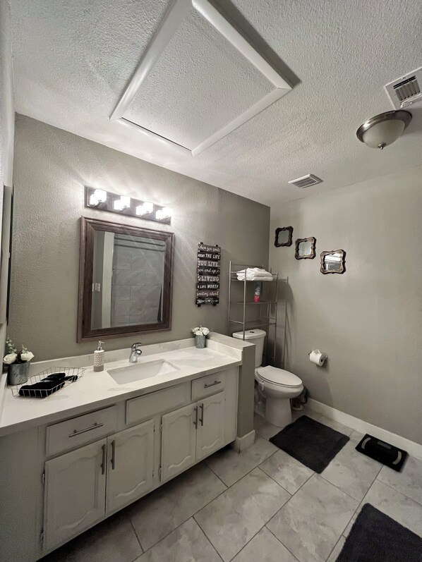 A bathroom with a vanity, sink, mirror, toilet, and a shower area.