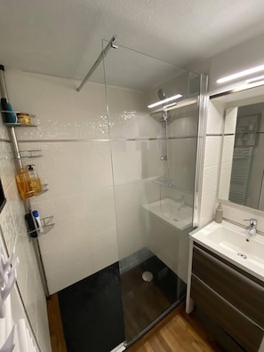 Shower, hair dryer, toilet paper