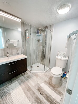 Shower, hair dryer, towels, soap