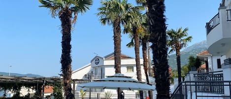 Terras