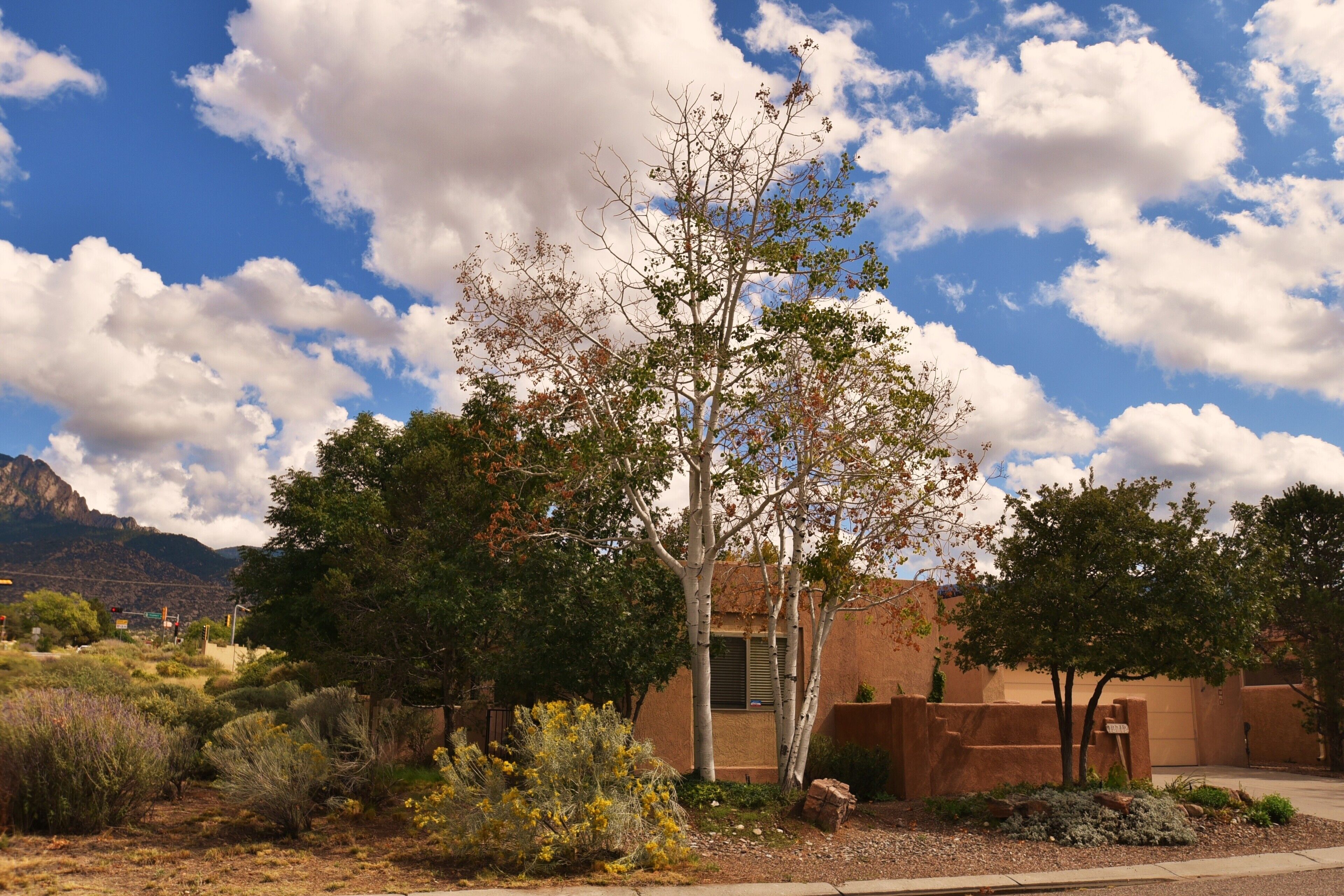 Delightful Retreat, Sandia Heights Home