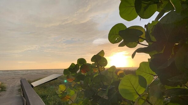 A wooden boardwalk leading to a beach with a sunset in the background. - Beautiful Waterfront apartment 2 bdrm: sand, Beach (Treasure Island)