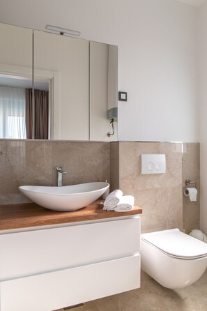 Douche, séchoir à cheveux, serviettes fournies, savon