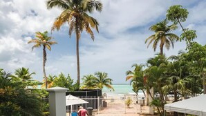 A paved patio area with palm trees, a white tent, and a brick pathway leading to a beach.