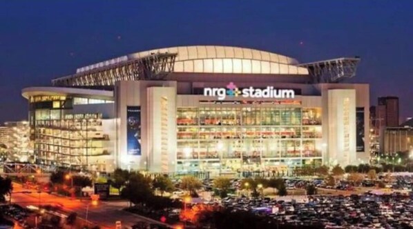 Exterior - Spacious 3 BR apartment near TMC, NRG, & Downtown  (Houston)