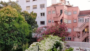 A multi-story residential building with balconies, a gated area with white flowering plants, and a neighboring white building with multiple windows. - Dear Home ★ In the Heart of Lisbon (Lisboa)