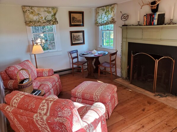 Smart TV, fireplace, books