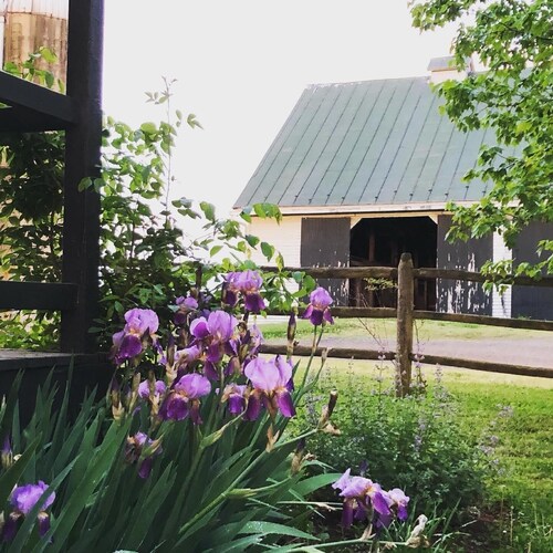 Bloomingdale Honeymoon Cabin Vintage Retreat with Mountain Views