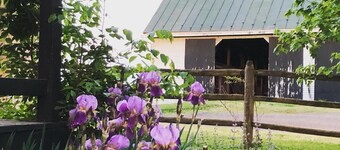 Bloomingdale Honeymoon Cabin Vintage Retreat with Mountain Views