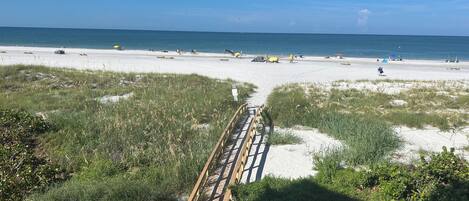 Een strand met een houten vogelbeschermingspad dat naar de kust leidt, omringd door zand en schaarse begroeiing.