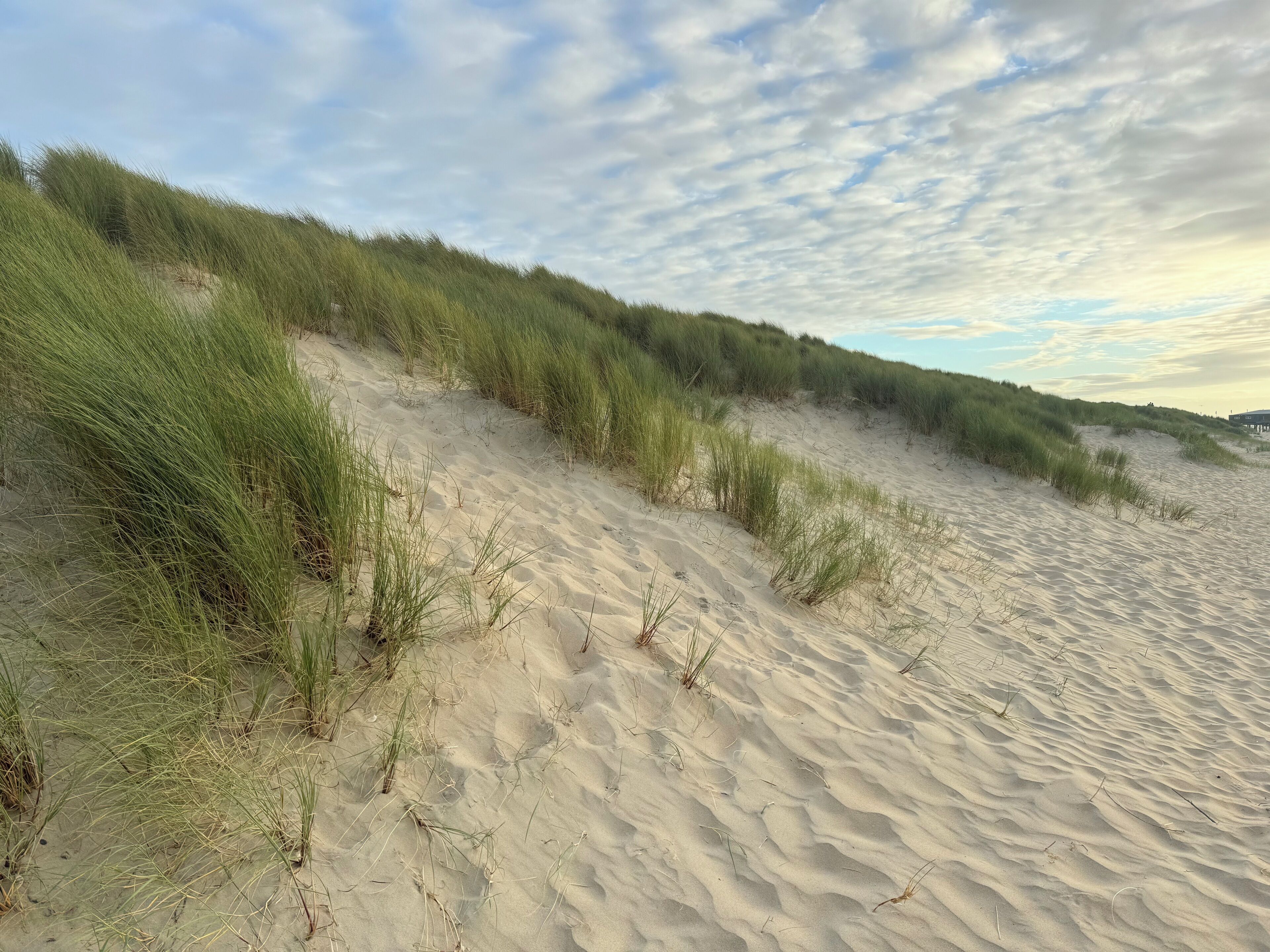 Beach nearby, sun-loungers