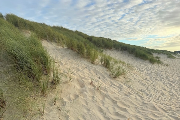 In Strandnähe, Liegestühle