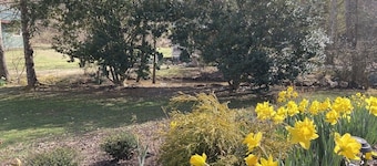 Appalachian Room at Misty Mountain Inn - 21 Mi to Helen Georgia