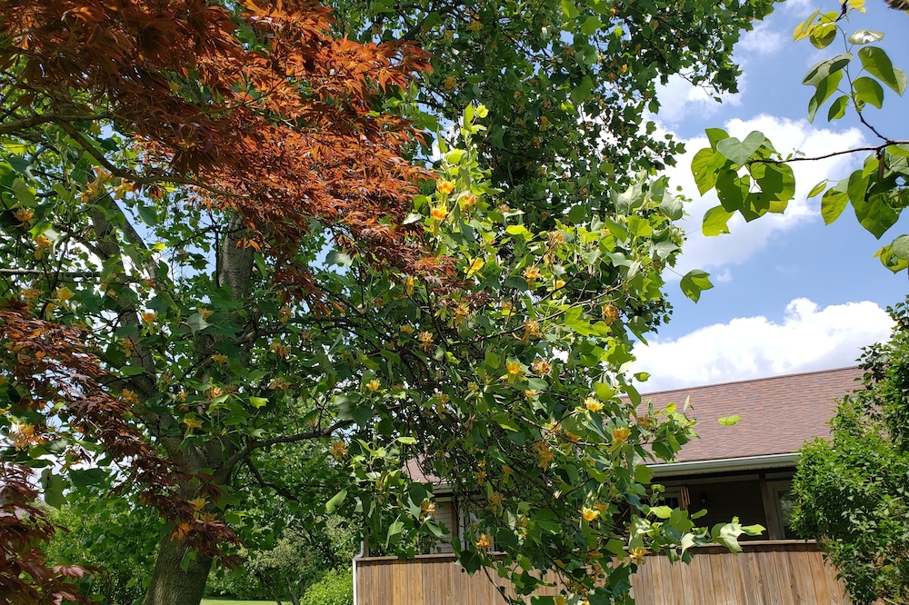 Conveniently located 2 bedroom home only minutes from hiking and state park fun!