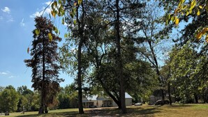 A gravel path leading to a building surrounded by trees.