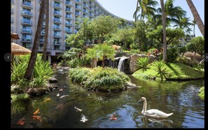 Property grounds - Westin Maui OCEANVIEW (Lahaina)