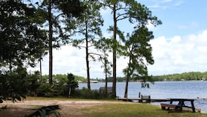A lakeside picnic area with a wooden bench and picnic table, surrounded by tall trees and a clear view of the water. - Quaint Cottage by the Bay - Boat Launch 1 Street Over (Elberta)