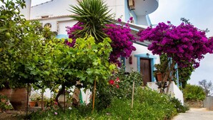 Um edifício com fachada branca e detalhes azuis, rodeado por vegetação exuberante e flores de buganvília roxas vibrantes.