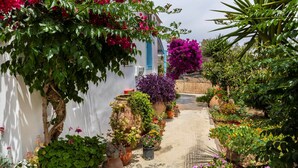 Um caminho estreito ladeado por vasos de plantas e arbustos floridos, que leva a um edifício branco com persianas azuis.