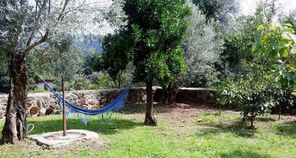 Maison de vacances Bouro Santa Maria pour 1 - 5 personnes avec 2 chambres Ă coucher - Maison de vaca