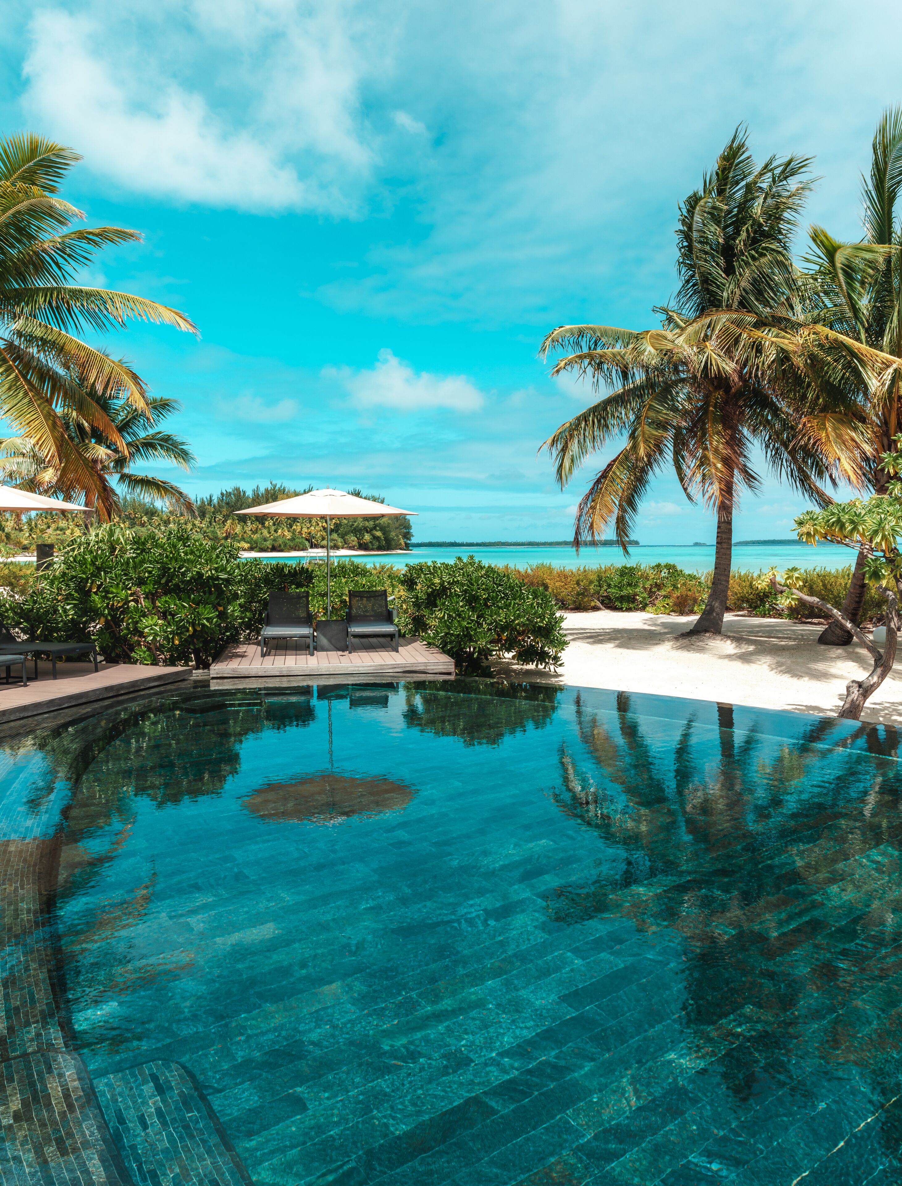 Outdoor pool, pool umbrellas, sun loungers