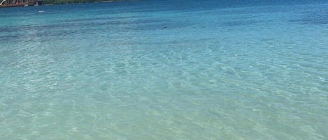 Nära stranden