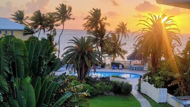 A pool area with a view of the ocean at sunset, surrounded by palm trees and a white fence. - Oceanfront Oasis;  Fun family retreat, with private pool, snorkeling steps away. (Christiansted)