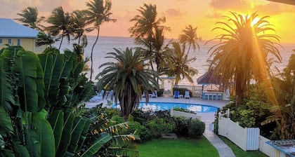 Oceanfront Oasis; Fun family retreat, with private pool, snorkeling steps away.