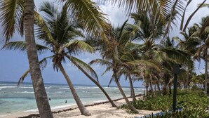 A beach with palm trees and a clear view of the ocean. - Oceanfront Oasis;  Fun family retreat, with private pool, snorkeling steps away. (Christiansted)
