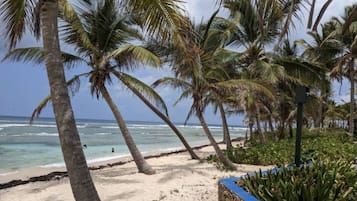 Perto da praia, espreguiçadeiras, toalhas de praia 