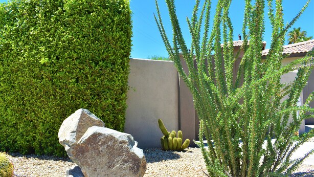 Un jardin bien entretenu, agrémenté d’un grand rocher, d’un cactus et d’un arbuste aux branches taillées avec soin.
