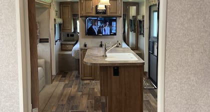 Charming Camper Oasis in Miami