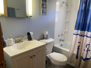 Combined shower/bathtub, hair dryer, towels, soap - Minnesota North Shore Getaway Cabin (Finland)
