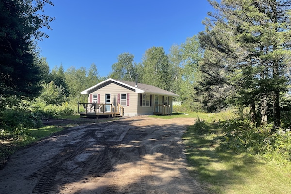 Cabin nestled amongst the trees