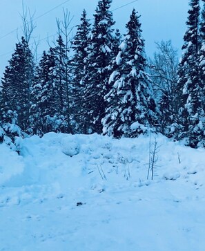 Exterior - Minnesota North Shore Getaway Cabin (Finland)
