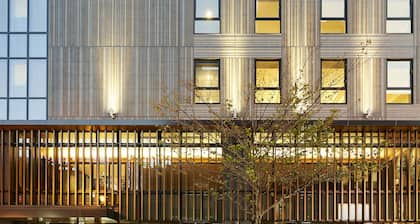 Daiwa Roynet Hotel KUMAMOTO GINZADORI PREMIER