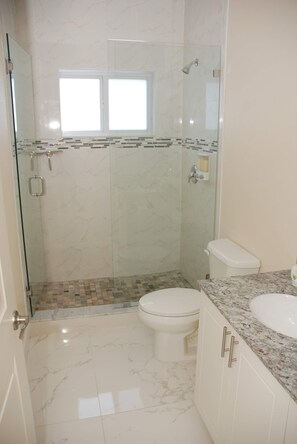 Shower, towels, toilet paper