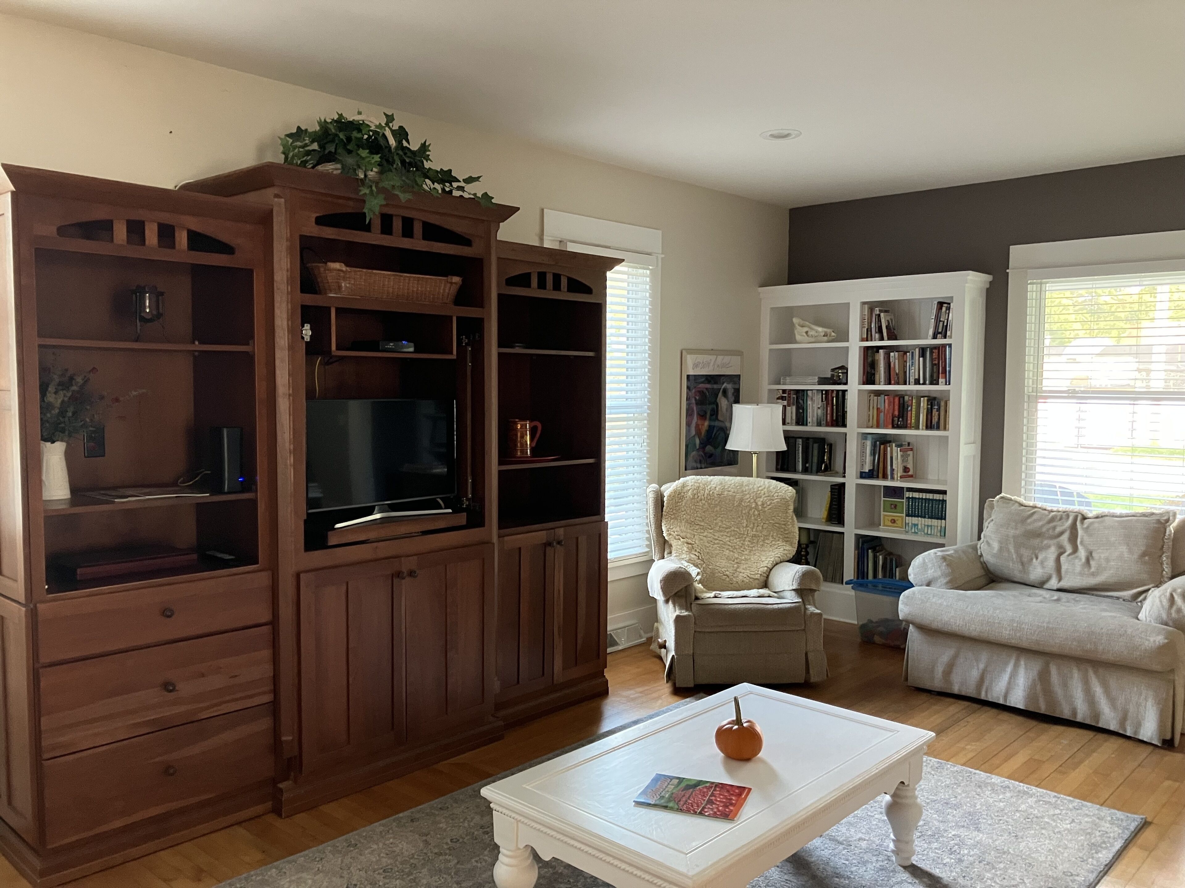 Smart-TV, bøker og PC-skjermer