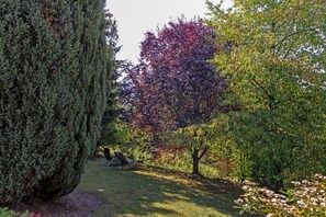 المنطقة المحيطة بالمنشأة