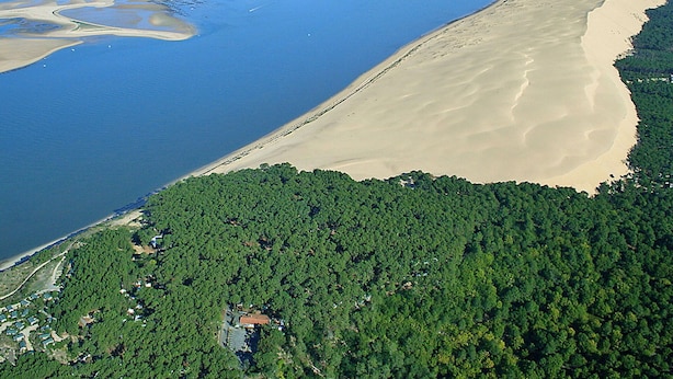 An aerial view of a coastal area with a large sandy beach, dense forested area, and a body of water with visible sandbanks. - Cosy apartment for 4 people with TV, terrace and pets allowed (Bélisaire)