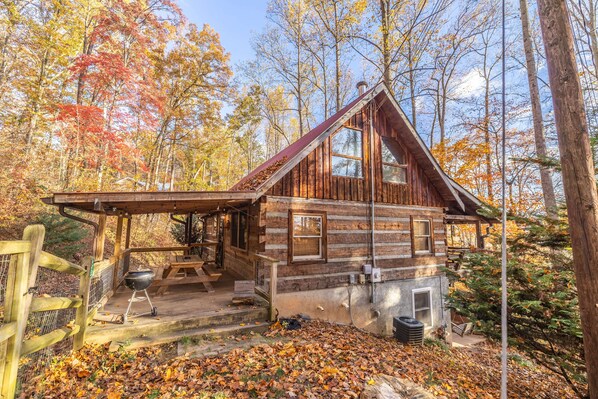 Exterior - Dog Friendly Cabin near Asheville. Fenced Yard, Hot Tub, WiFi, fireplace.  (Candler)