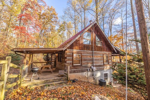 Water & Power! Dog Friendly Cabin with Fenced Yard, Hot Tub