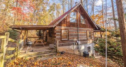 Water & Power! Dog Friendly Cabin with Fenced Yard, Hot Tub