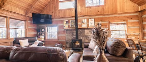 Smart TV, fireplace, books